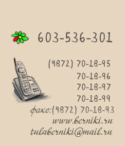 Торговая площадка Московская область - Восточные Берники - Дорснаб